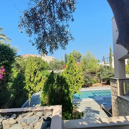 Phaedrus Living Amorosa 13 Beachside *